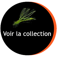 collection Concept Brésil